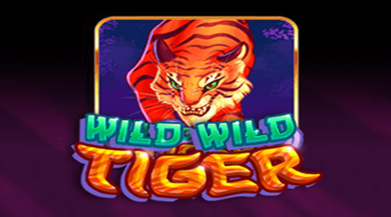 Year Of Wild Wild Tige